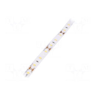 LED tape | white neutral | 2835 | 12V | LED/m: 60 | 10mm | IP33 | 120°