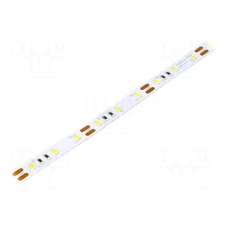 LED tape | white neutral | 2835 | 12V | LED/m: 60 | 10mm | white PCB | 120°