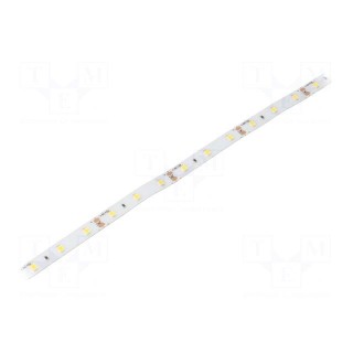 LED tape | white neutral | 2835 | 12V | LED/m: 60 | 8mm | IP64 | 120° | 6W/m