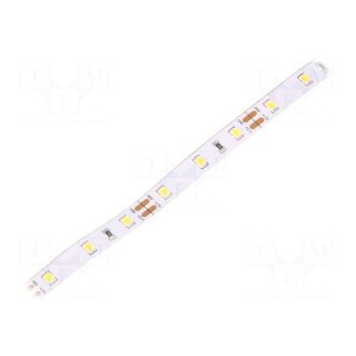 LED tape | white neutral | 2835 | 12V | LED/m: 60 | 8mm | white PCB | IP20