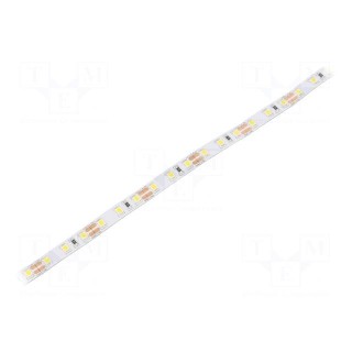 LED tape | white neutral | 2835 | 12V | LED/m: 96 | 8mm | white PCB | IP20