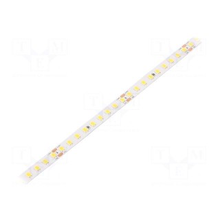 LED tape | white neutral | 2835 | 24V | LED/m: 144 | 8mm | white PCB | IP20