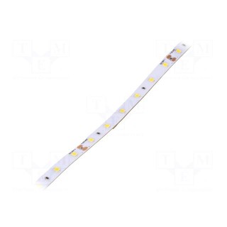 LED tape | white neutral | 2835 | 24V | LED/m: 60 | 8mm | IP64 | 120° | 6W/m