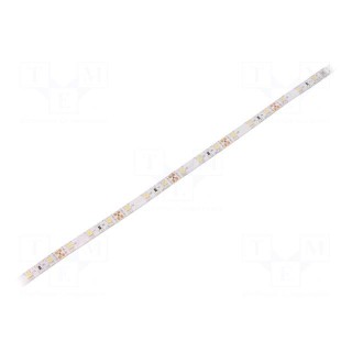 LED tape | white neutral | 3528 | 12V | LED/m: 60 | 8mm | white PCB | IP65