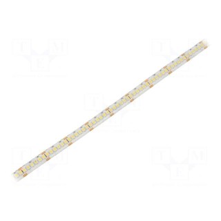 LED tape | white neutral | 3528 | 24V | LED/m: 240 | 10mm | IP65 | 16W/m