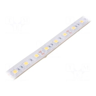 LED tape | white neutral | 5050 | 12V | LED/m: 60 | 10mm | white PCB | IP65