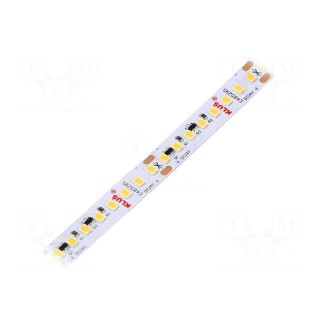 LED tape | white warm | 24V | LED/m: 160 | 10mm | IP20 | 120° | 24W/m