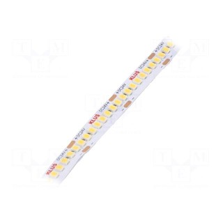 LED tape | white warm | 24V | LED/m: 240 | 10mm | IP20 | 120° | 4.8W/m