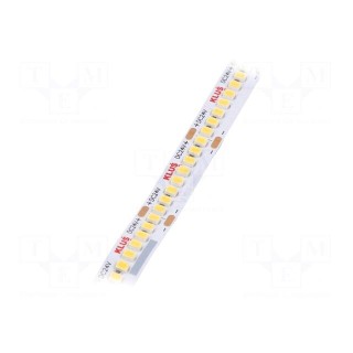 LED tape | white warm | 24V | LED/m: 240 | 10mm | IP20 | 120° | 9.6W/m