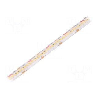 LED tape | white warm | 24V | LED/m: 240 | 10mm | IP65 | 120° | 4.8W/m