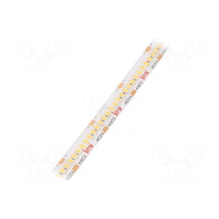 LED tape | white warm | 24V | LED/m: 240 | 10mm | IP65 | 120° | 9.6W/m
