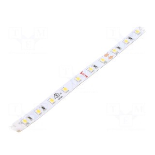LED tape | white warm | 24V | LED/m: 70 | 8mm | IP20 | 120° | 4.8W/m