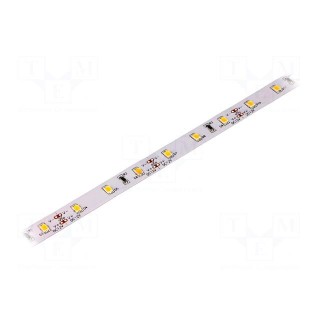 LED tape | white warm | 2835 | 12V | LED/m: 60 | W: 10mm | 120° | 14.4W/m