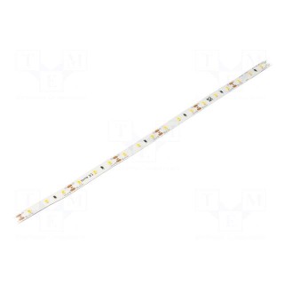 LED tape | white warm | 2835 | 12V | LED/m: 60 | 10mm | IP33 | 120° | 12W/m