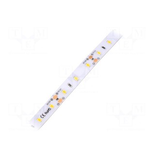 LED tape | white warm | 2835 | 12V | LED/m: 60 | 10mm | IP64 | 120° | 12W/m