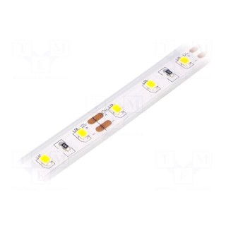 LED tape | white warm | 2835 | 12V | LED/m: 60 | 10mm | IP65 | 120° | 12W/m