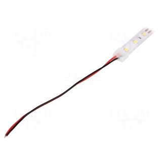 LED tape | white warm | 2835 | 12V | LED/m: 60 | W: 10mm | 120° | IP65 | 12W/m