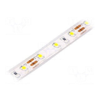 LED tape | white warm | 2835 | 12V | LED/m: 60 | 10mm | IP68 | 120° | 4W/m
