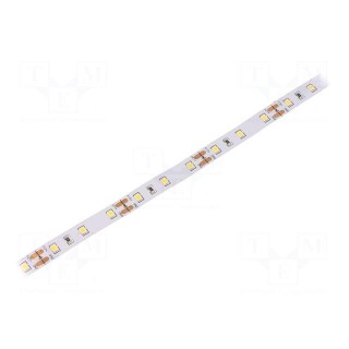 LED tape | white warm | 2835 | 12V | LED/m: 60 | 10mm | white PCB | IP20