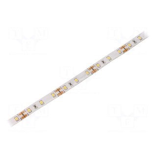 LED tape | white warm | 2835 | 12V | LED/m: 60 | 10mm | white PCB | IP65