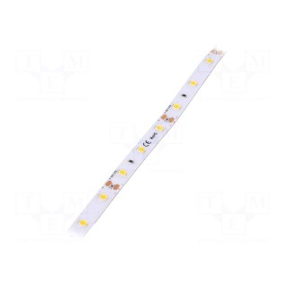 LED tape | white warm | 2835 | 12V | LED/m: 60 | 8mm | IP64 | 120° | 6W/m