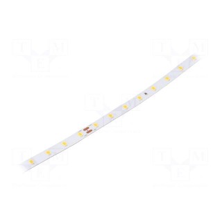 LED tape | white warm | 2835 | 24V | LED/m: 72 | 8mm | white PCB | IP20