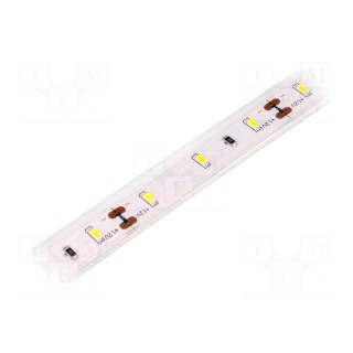 LED tape | white warm | 3014 | 12V | LED/m: 60 | 10mm | IP65 | 120° | 6W/m