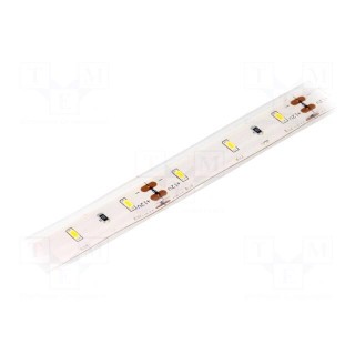 LED tape | white warm | 3014 | 12V | LED/m: 60 | 10mm | 120° | IP68 | 6W/m