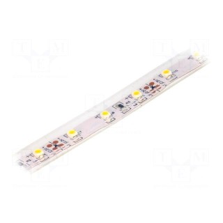 LED tape | white warm | 3528 | 12V | LED/m: 60 | 10mm | IP65 | 120° | 4.8W/m