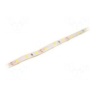 LED tape | white warm | 3528 | 12V | LED/m: 60 | 10mm | white PCB | IP67
