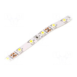 LED tape | white warm | 3528 | 12V | LED/m: 60 | W: 8mm | 120° | IP20 | 4.8W/m