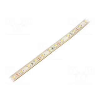 LED tape | white warm | 3528 | 12V | LED/m: 60 | 8mm | white PCB | IP65