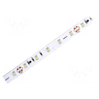 LED tape | white warm | 3528 | 24V | LED/m: 50 | W: 12mm | 120° | IP20