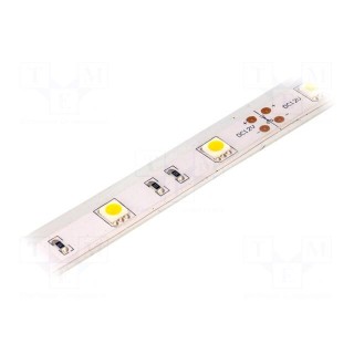 LED tape | white warm | 5050 | 12V | LED/m: 30 | W: 14.36mm | 120° | IP65