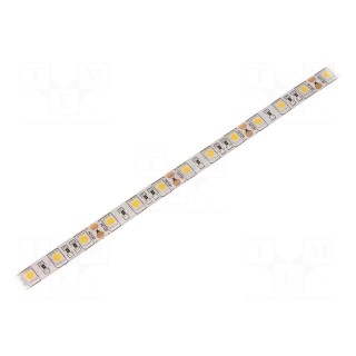 LED tape | white warm | 5050 | 12V | LED/m: 60 | 10mm | IP65 | 14.4W/m