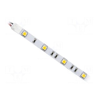 LED tape | white neutral | 5050 | 24V | LED/m: 30 | 10mm | white PCB | IP20