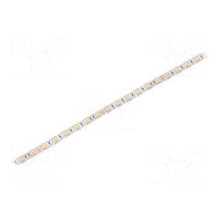 LED tape | white warm | 5050 | 24V | LED/m: 60 | 10mm | white PCB | IP64