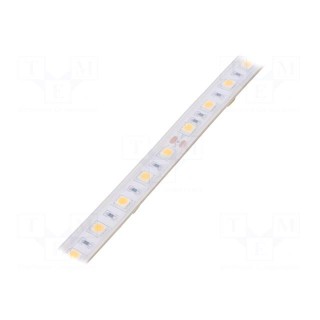 LED tape | white warm | 5050 | 24V | LED/m: 60 | 10mm | white PCB | IP65
