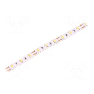 LED tape | white warm | 5630 | 12V | LED/m: 60 | 10mm | white PCB | IP20