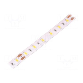 LED tape | white warm | 5630 | 24V | LED/m: 60 | 12mm | white PCB | IP65