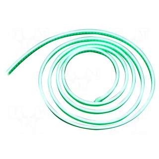 NEON LED tape | green | 2835 | 24V | LED/m: 120 | 6mm | IP65 | 8W/m
