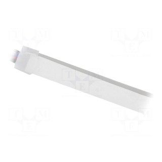 NEON LED tape | RGB | 12V | LED/m: 120 | 6mm | IP65 | 14W/m | Thk: 12mm