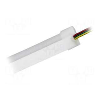 NEON LED tape | RGB | 5050 | 12V | LED/m: 60 | 12mm | IP65 | 12W/m | Thk: 22mm