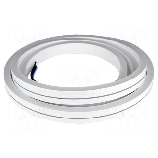 NEON LED tape | RGBW | 12V | 10mm | IP65 | 15W/m | Thk: 20mm | bendable
