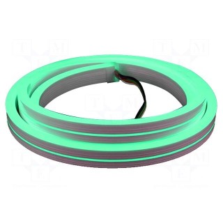 NEON LED tape | RGBW | 24V | 10mm | IP65 | 19.2W/m | Thk: 20mm | bendable