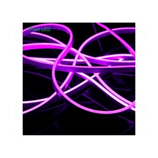 NEON LED tape | violet | 2835 | 12V | LED/m: 120 | 6mm | IP65 | 8W/m