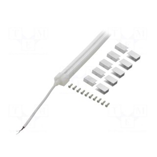 NEON LED tape | white cold | 24V | LED/m: 120 | 10mm | IP65 | 9.6W/m
