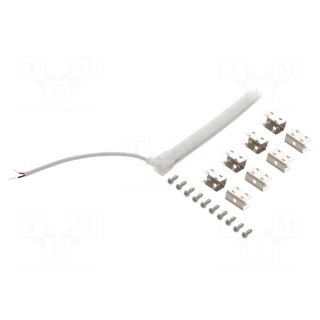 NEON LED tape | white cold | 24V | LED/m: 120 | 8mm | IP65 | 6W/m