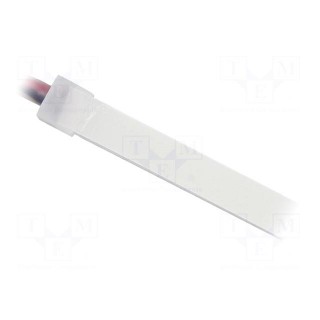 NEON LED tape | white cold | 2835 | 12V | LED/m: 120 | 12mm | IP65 | 10W/m