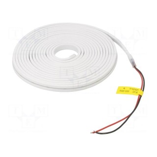 NEON LED tape | white cold | 2835 | 12V | LED/m: 120 | 4mm | IP65 | 5W/m